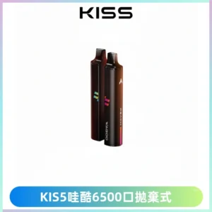 KIS5WAGOO哇酷6500口拋棄式 | 自由混搭雙口味 | 雙芯組合