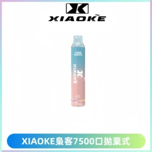 XIAOKE梟客7500Puffs跑馬燈拋棄式電子煙 可發光一次性